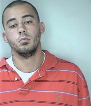 Rawls Andrew - Hillsborough County, FL 