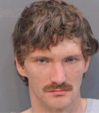 Pittman Calvin - Hamilton County, TN 