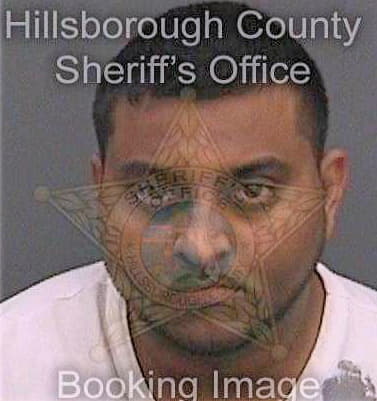 Narayanan Derrick - Hillsborough County, FL 