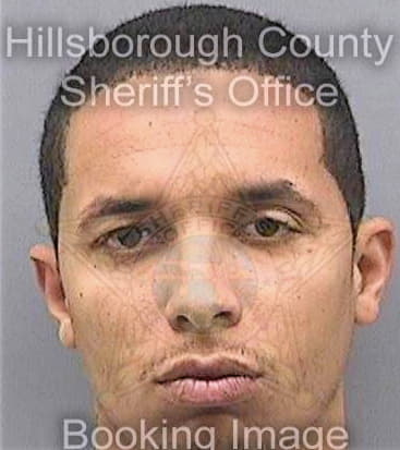 Fontanez Joey - Hillsborough County, FL 