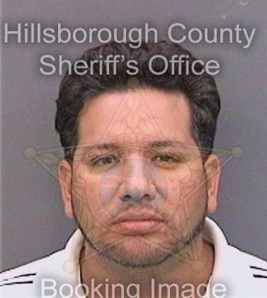 Herrera Jorge - Hillsborough County, FL 
