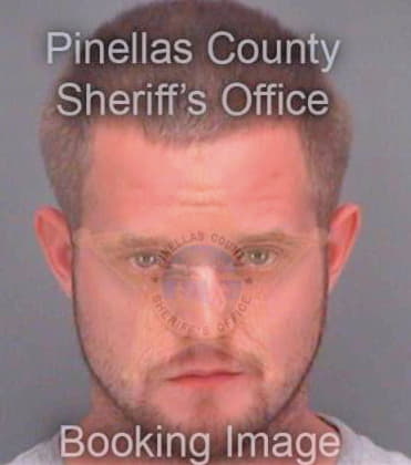 Hamill Michael - Pinellas County, FL 