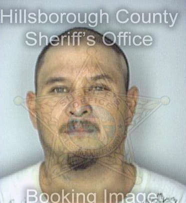 Martinez Noe - Hillsborough County, FL 