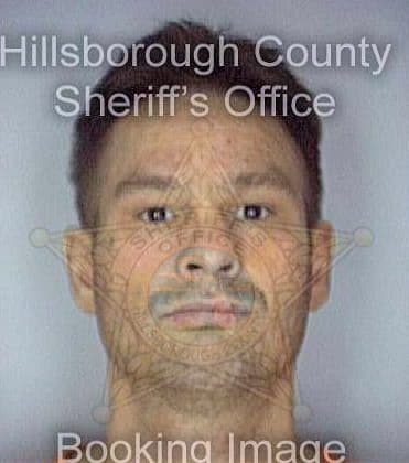 Peirson Anthony - Hillsborough County, FL 