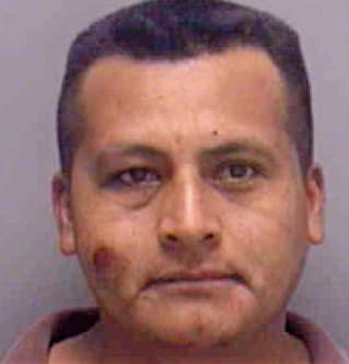 Nino Erasmo - Lee County, FL 