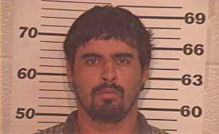 Trevino Luis - Hidalgo County, TX 