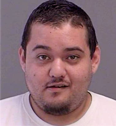 Guevara Eric - Brazos County, TX 