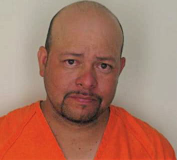 Carlin Fernando - Hillsborough County, FL 