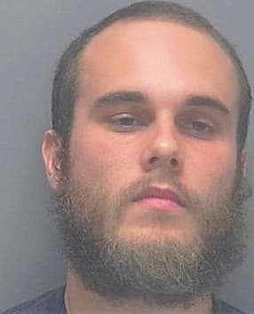 Deboy Mark - Lee County, FL 