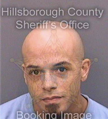 Felton Matthew - Hillsborough County, FL 