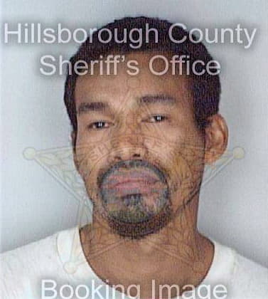 Peters Michael - Hillsborough County, FL 