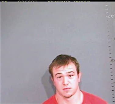 Coyle Mitchell - Brazos County, TX 