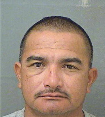 Castellon Carlos - PalmBeach County, FL 