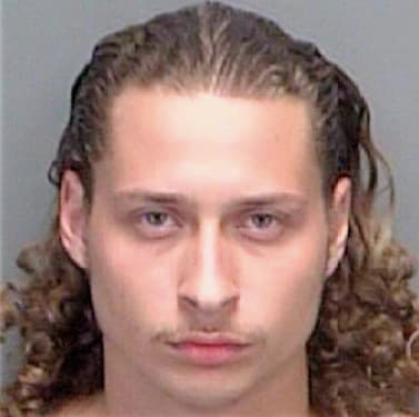 Reinhardt David - Pinellas County, FL 