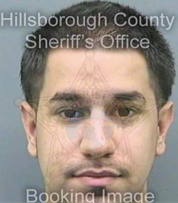 Cardenas Enrique - Hillsborough County, FL 