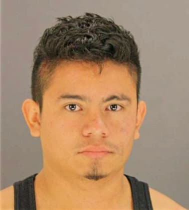 Beltrancarbajal Gabriel - Dallas County, TX 