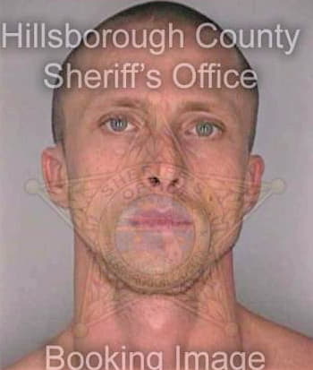 Lawrence Michael - Hillsborough County, FL 