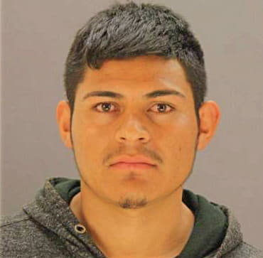 Romerorojas Luis - Dallas County, TX 