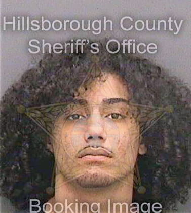 Serrano Miguel - Hillsborough County, FL 