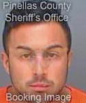 Sanchez Nicholas - Pinellas County, FL 