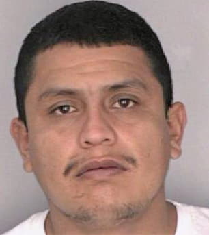Hernandez Omar - Hillsborough County, FL 