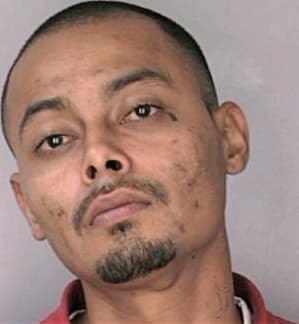 Ortiz Rodolfo - Hillsborough County, FL 