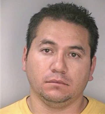 Rivasgonzalez Carlos - Hillsborough County, FL 