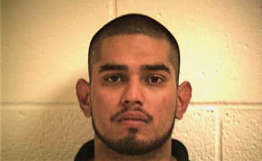 Garza Diego - Hidalgo County, TX 