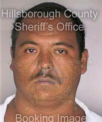 Martinezflores Jose - Hillsborough County, FL 