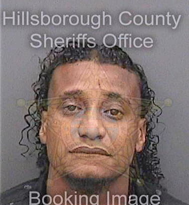 Guillen Luis - Hillsborough County, FL 