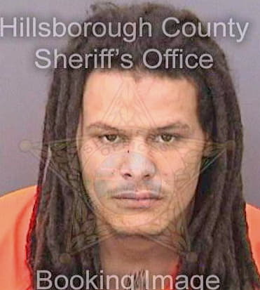 Anderson Devin - Hillsborough County, FL 