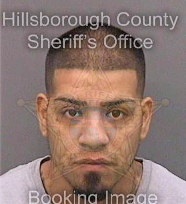 Martinezheridia Eddie - Hillsborough County, FL 