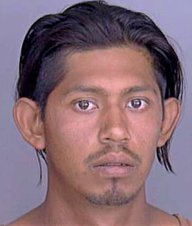 Mendoza Eligio - Dallas County, TX 