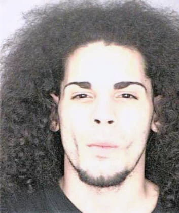 Ruiz Manuel - Hillsborough County, FL 