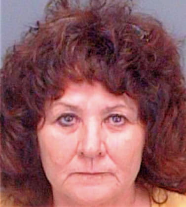 Blain Mireille - Pinellas County, FL 