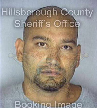 Pareto Raul - Hillsborough County, FL 