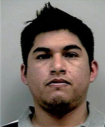 Perez-Cayupe Javier - Gwinnett County, GA 