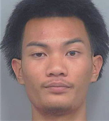 Thammavong Ryan - Gwinnett County, GA 