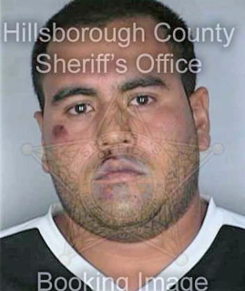 Escobarpara Bernardo - Hillsborough County, FL 