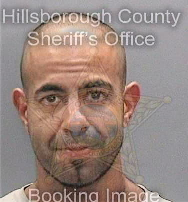 Mansour Karimeldin - Hillsborough County, FL 