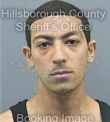 Moustafa Mahmoud - Hillsborough County, FL 