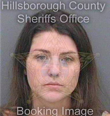 Theobald Alexis - Hillsborough County, FL 