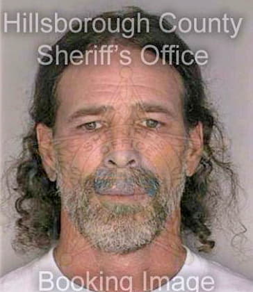 Robertson Daniel - Hillsborough County, FL 