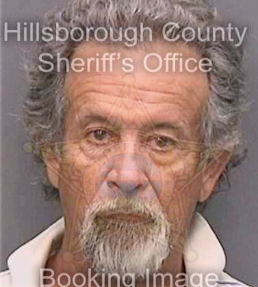 Hernandez Hugo - Hillsborough County, FL 
