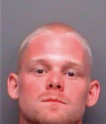 Patterson Sean - Pinellas County, FL 