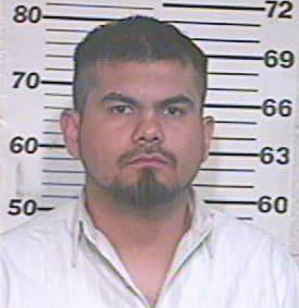 Gonzalez Arturo - Hidalgo County, TX 