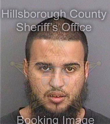 Berenger Craig - Hillsborough County, FL 