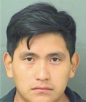 Sontaypelico Edwin - PalmBeach County, FL 