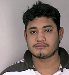 Artegacoello Emilio - Hillsborough County, FL 