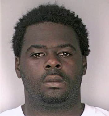 Bailey James - Hillsborough County, FL 